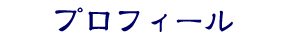 �v���t�B�[��