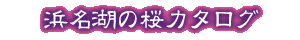 �l���΂̍��J�^���O