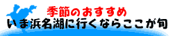 �G�߂̂�������