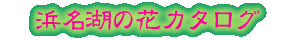 �l���΂̉ԃJ�^���O