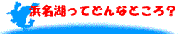 l΂ĂǂȂƂH