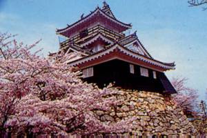 浜松城公園桜まつり